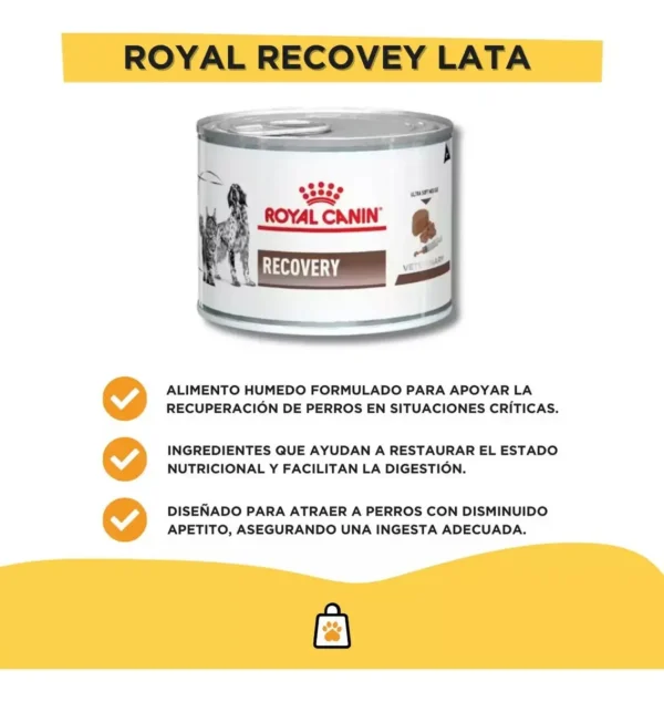 Royal Canin Veterinary Diet Canine Recovery alimento húmedo para perro gato adulto 12 latas de 195gr