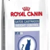 Royal Canin Alimento Seco Gatos Castrados Adultos 12kg Salud Oral