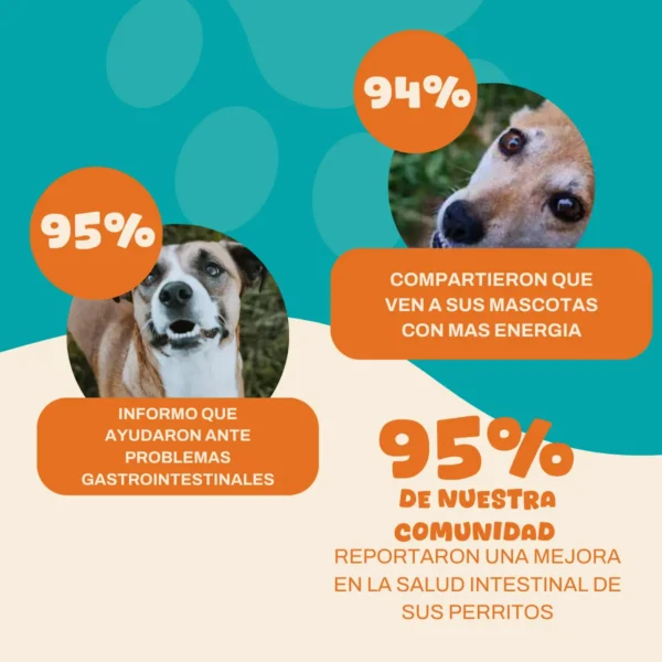 Probioticos Perros Aditivo Natural Digestivo Instestinal Alergia Ruffitos