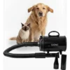 Turbina Secadora de Pelo para Perros Gadnic PD2000 2 Velocidades Boquillas Silencioso Manguera Flexible