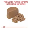 Royal Canin Veterinary Diet Canine Recovery alimento húmedo para perro gato adulto 12 latas de 195gr