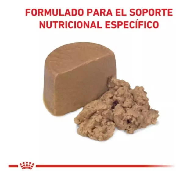 Royal Canin Veterinary Diet Canine Recovery alimento húmedo para perro gato adulto 12 latas de 195gr