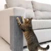 Rascador Gatos Sillón Alfombra Esquinero X 2 Unidades 50cm