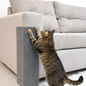 Rascador Gatos Sillón Alfombra Esquinero X 2 Unidades 50cm