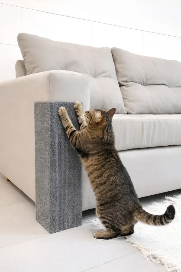 Rascador Gatos Sillón Alfombra Esquinero X 2 Unidades 50cm