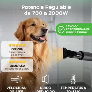 Turbina Secadora de Pelo para Perros Gadnic PD2000 2 Velocidades Boquillas Silencioso Manguera Flexible