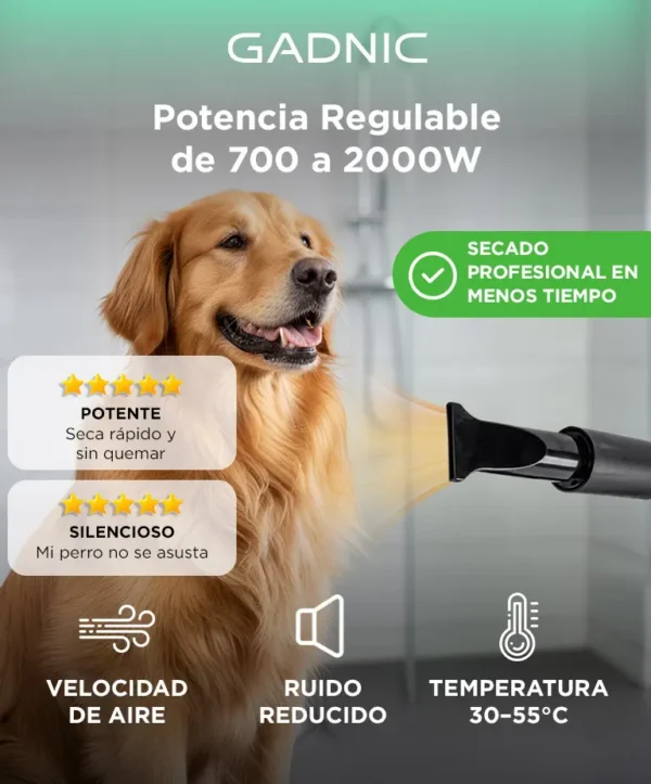 Turbina Secadora de Pelo para Perros Gadnic PD2000 2 Velocidades Boquillas Silencioso Manguera Flexible