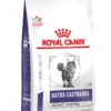 Royal Canin Alimento Seco Gatos Castrados Adultos 12kg Salud Oral