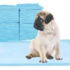 D_NQ_NP_2X_855017-MLA96872656903_102025-F Pañales Paños Super Absorbentes Entrenamiento Mascota Celeste