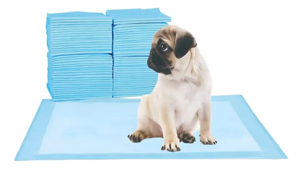 D_NQ_NP_2X_855017-MLA96872656903_102025-F Pañales Paños Super Absorbentes Entrenamiento Mascota Celeste