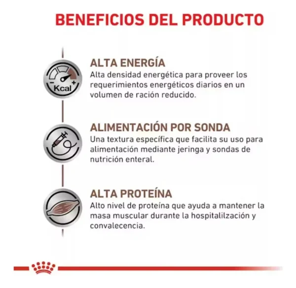 Royal Canin Veterinary Diet Canine Recovery alimento húmedo para perro gato adulto 12 latas de 195gr