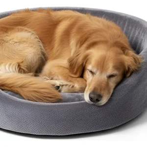 Moises Para Perro O Gato Lola Pets Islandia Grande