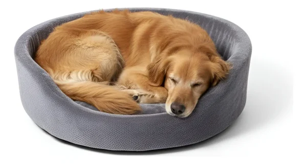 Moises Para Perro O Gato Lola Pets Islandia Grande