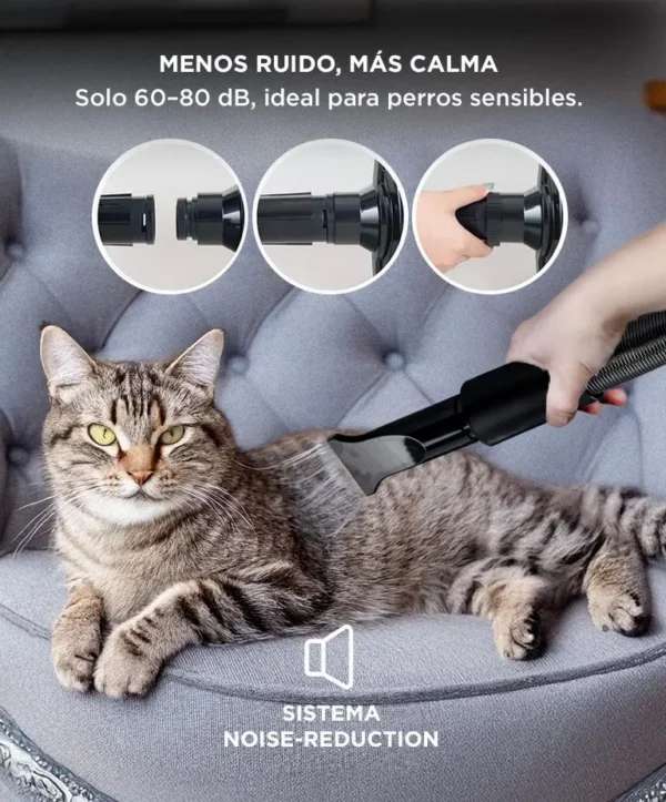Turbina Secadora de Pelo para Perros Gadnic PD2000 2 Velocidades Boquillas Silencioso Manguera Flexible