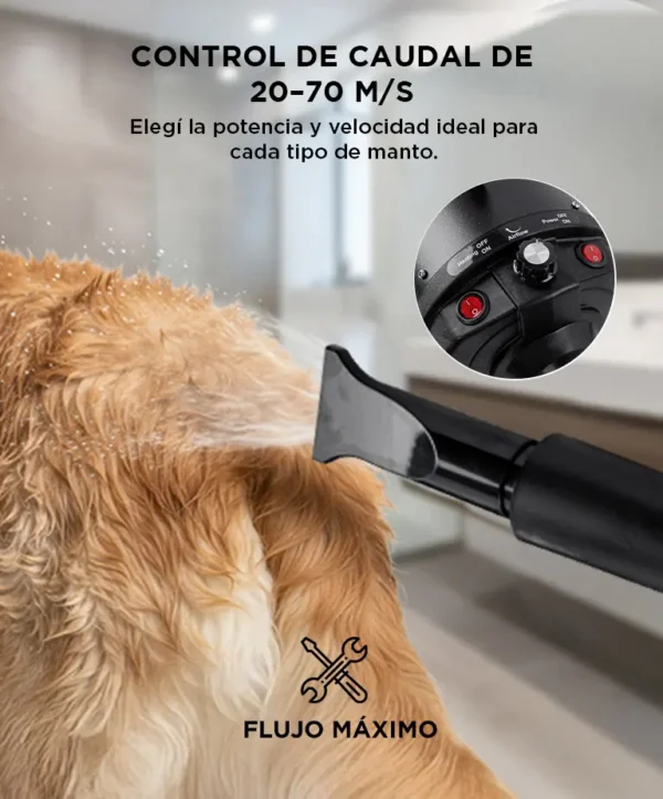 Turbina Secadora de Pelo para Perros Gadnic PD2000 2 Velocidades Boquillas Silencioso Manguera Flexible