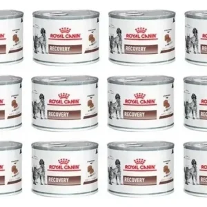 Royal Canin Veterinary Diet Canine Recovery alimento húmedo para perro gato adulto 12 latas de 195gr