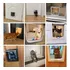 Puerta Vaiven Para Mascotas Gatos Perros L 25cmx23.5cm