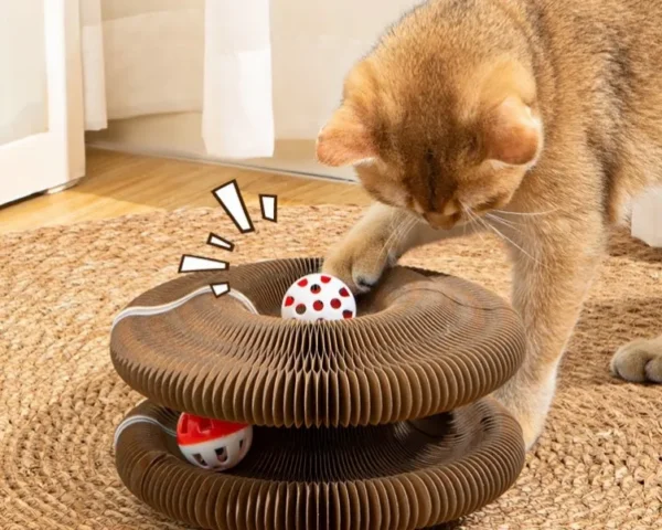 Rascador Carton Juguete Gatos Plegable Pelota Interactivo