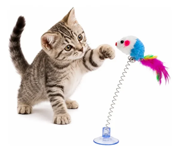 D_NQ_NP_2X_759801-MLA112584122777_062026-F Juguete Para Gatos Resorte Con Sopapa