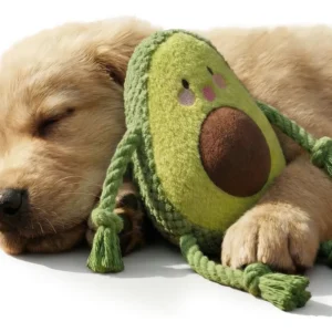 Juguete Para Perros Palta De Peluche Con Sonido Y Sogas