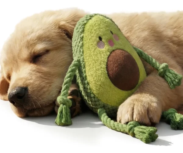 Juguete Para Perros Palta De Peluche Con Sonido Y Sogas