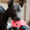 D_NQ_NP_2X_827320-MLA107824323413_022026-F Oh Fire Biterz Lagartija Medium Peluche Para Perros Rojo