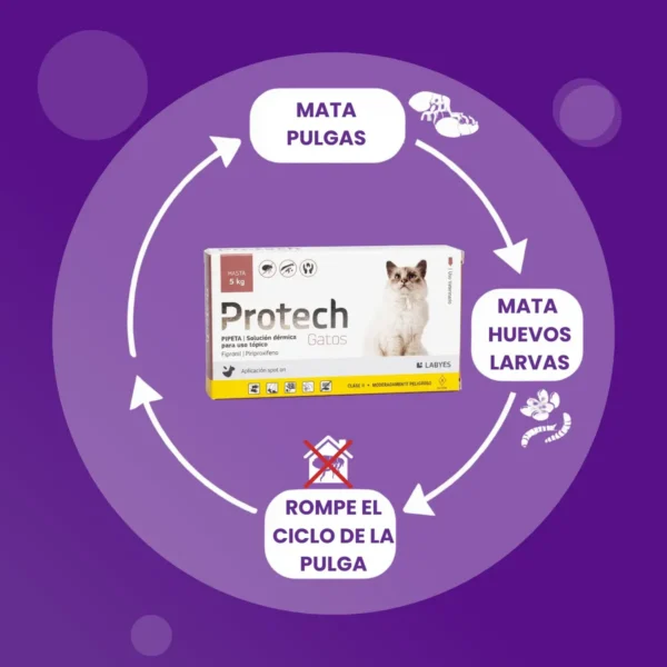Pipeta Antipulgas para Gatos Protech Labyes 2 a 5 Kg Combo x2