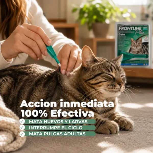 Pipeta Antipulgas y Garrapatas para Gatos Frontline Plus 1 a 10 Kg