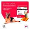 Condroprotector para Perros y Gatos Colotrin x30 Comprimidos Pack x2