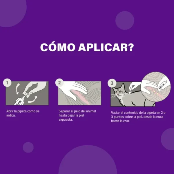Pipeta Antipulgas para Gatos Protech Labyes 2 a 5 Kg Combo x2