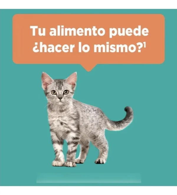 D_NQ_NP_644325-MLA115592368643_082026-F.webp Alimento para Gatitos Purina One x4Kg