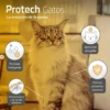 Pipeta Antipulgas para Gatos Protech Labyes 2,1 a 5 Kg