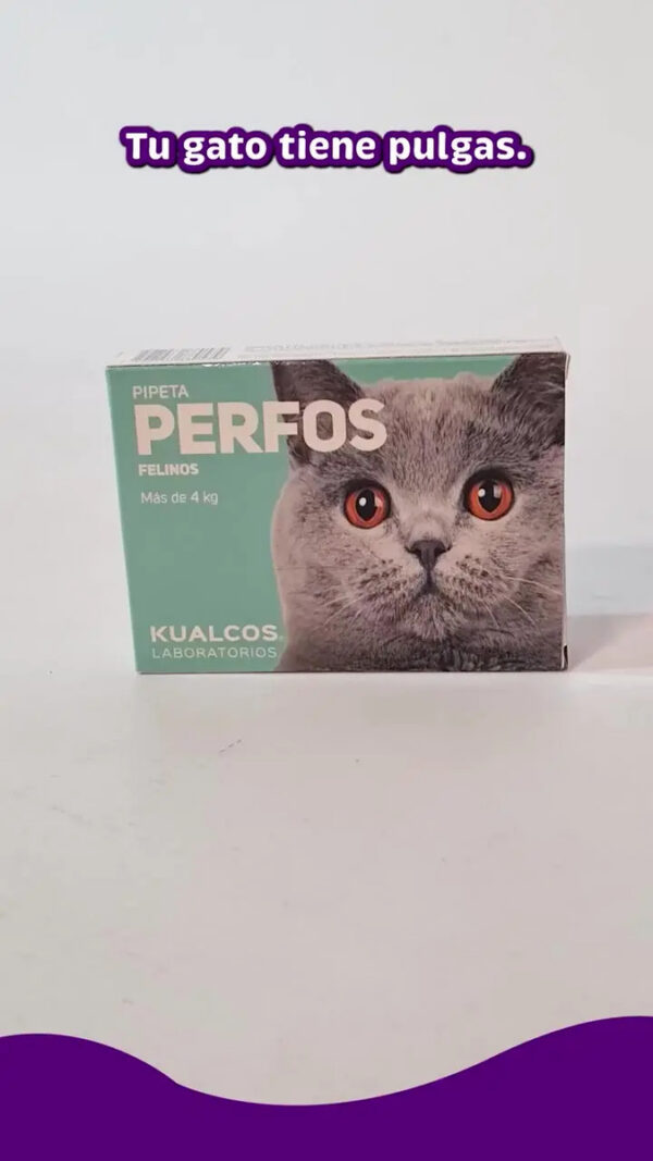 Pipeta Antipulgas para Gatos Perfos Kualcos +4 Kg Combo x5