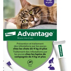 Pipeta Antipulgas para Gatos Advantage 4 a 8 Kg Combo x2