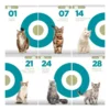 Alimento para Gatos Purina One Premium x6Kg