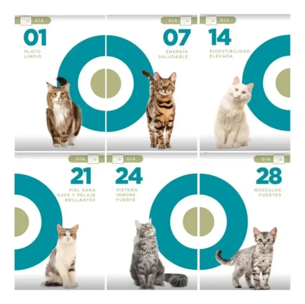 Alimento para Gatos Purina One Premium x6Kg