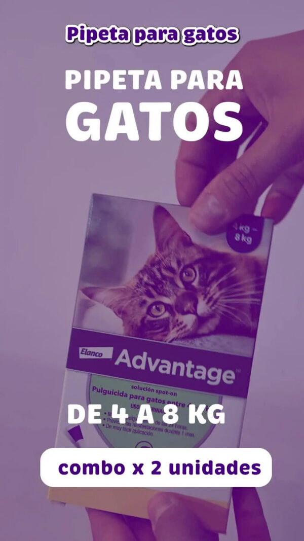 Pipeta Antipulgas para Gatos Advantage 4 a 8 Kg Combo x2