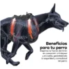 Arnés Pretal Táctico para Perros Anti Tirones Waggs Talle S