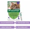 Pipeta Antipulgas para Gatos Advantage 4 a 8 Kg Combo x2