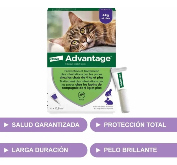 Pipeta Antipulgas para Gatos Advantage 4 a 8 Kg Combo x2