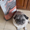 Contenedor Hermético para Alimento de Mascotas Waggs 20L Plegable