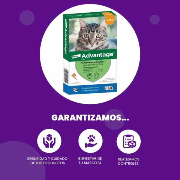 Pipeta Antipulgas para Gatos Advantage Hasta 4 Kg Combo x2