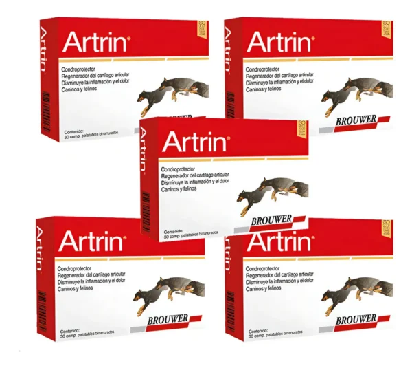 D_NQ_NP_711182-MLA99336585346_112025-F.webp Condroprotector para Perros y Gatos Artrin Pack x5 (x30 Comprimidos c/u)