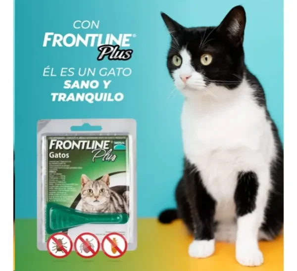 Pipeta Antipulgas y Garrapatas para Gatos Frontline Plus 1 a 8 Kg Combo x4