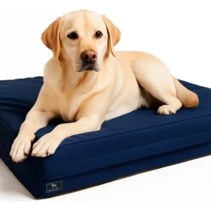 Colchón Impermeable para Perros Lyon Pet 100x70cm Razas Grandes