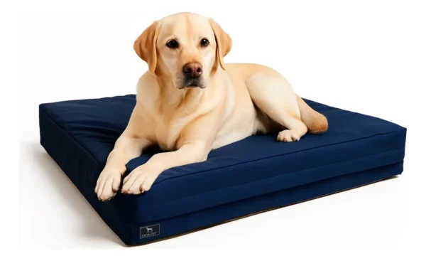 D_NQ_NP_728121-MLA89202405096_082025-F.webp Colchón Impermeable para Perros Lyon Pet 100x70cm Razas Grandes