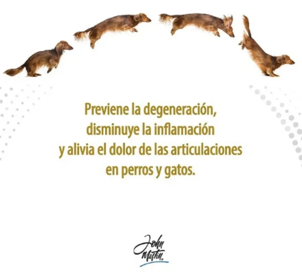 Condroprotector para Perros y Gatos Flexapet x30 Comprimidos
