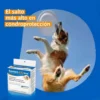 Condroprotector para Perros y Gatos Sosten CG x80 Comprimidos