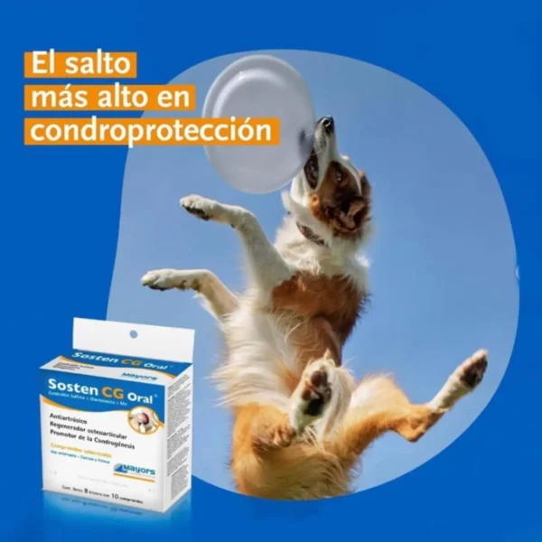 Condroprotector para Perros y Gatos Sosten CG x80 Comprimidos