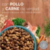 D_NQ_NP_745773-MLA114244862890_082026-F.webp Alimento para Gatitos Purina One x4Kg